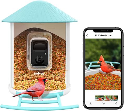 Netvue birdfy feeder - Aug 4, 2023 · When a video is created, Birdfy’s AI kicks in and analyzes the footage for identification. NETVUE claims that Birdfy can identify more than 6,000 bird species. And ideally, it identifies the bird in real time and sends you a push notification that a specific bird is at your feeder, but this rarely happens. 